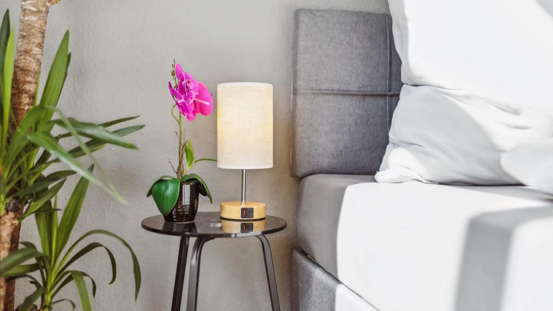 Apartmán Dresdenstay Gemuetlich Naehe Zentrum Und Elbe Kamin Ps4